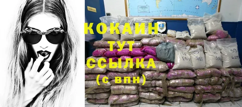 Cocaine FishScale  купить закладку  mega ТОР  Малая Вишера 